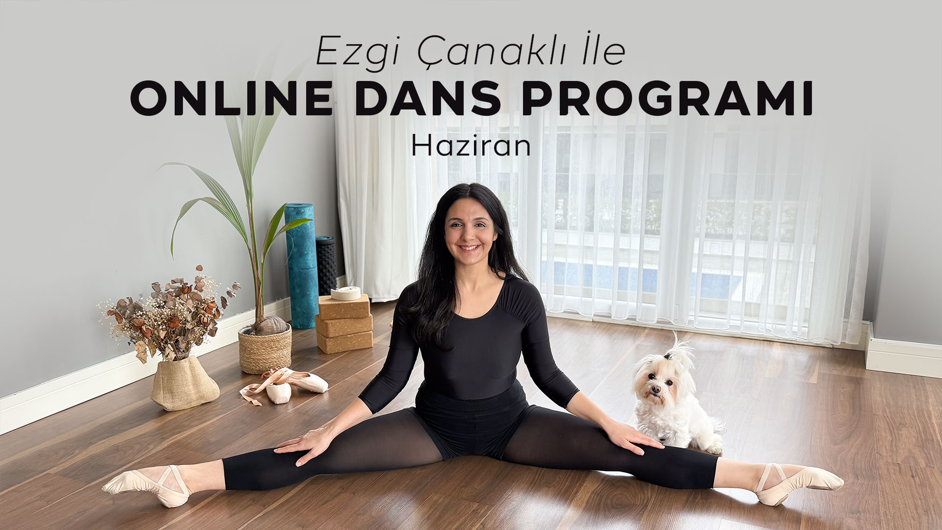 Haziran Ayı Online Dans Programı
